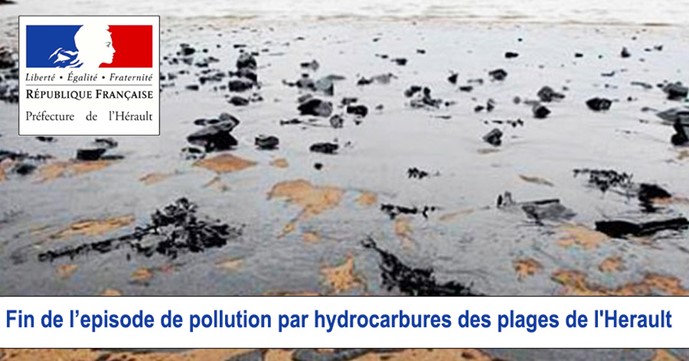 Maree noire et responsabilite politique